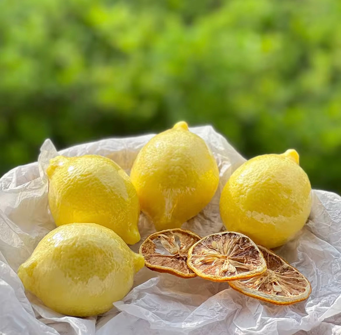 Soaps | Customized Soaps