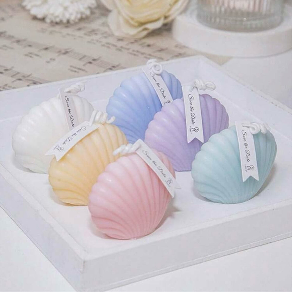 Candles | Shell-shaped Candles