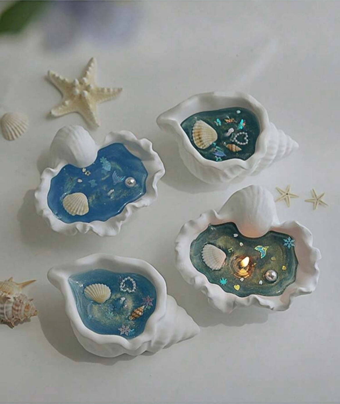 Candles | Conch-shaped Candles