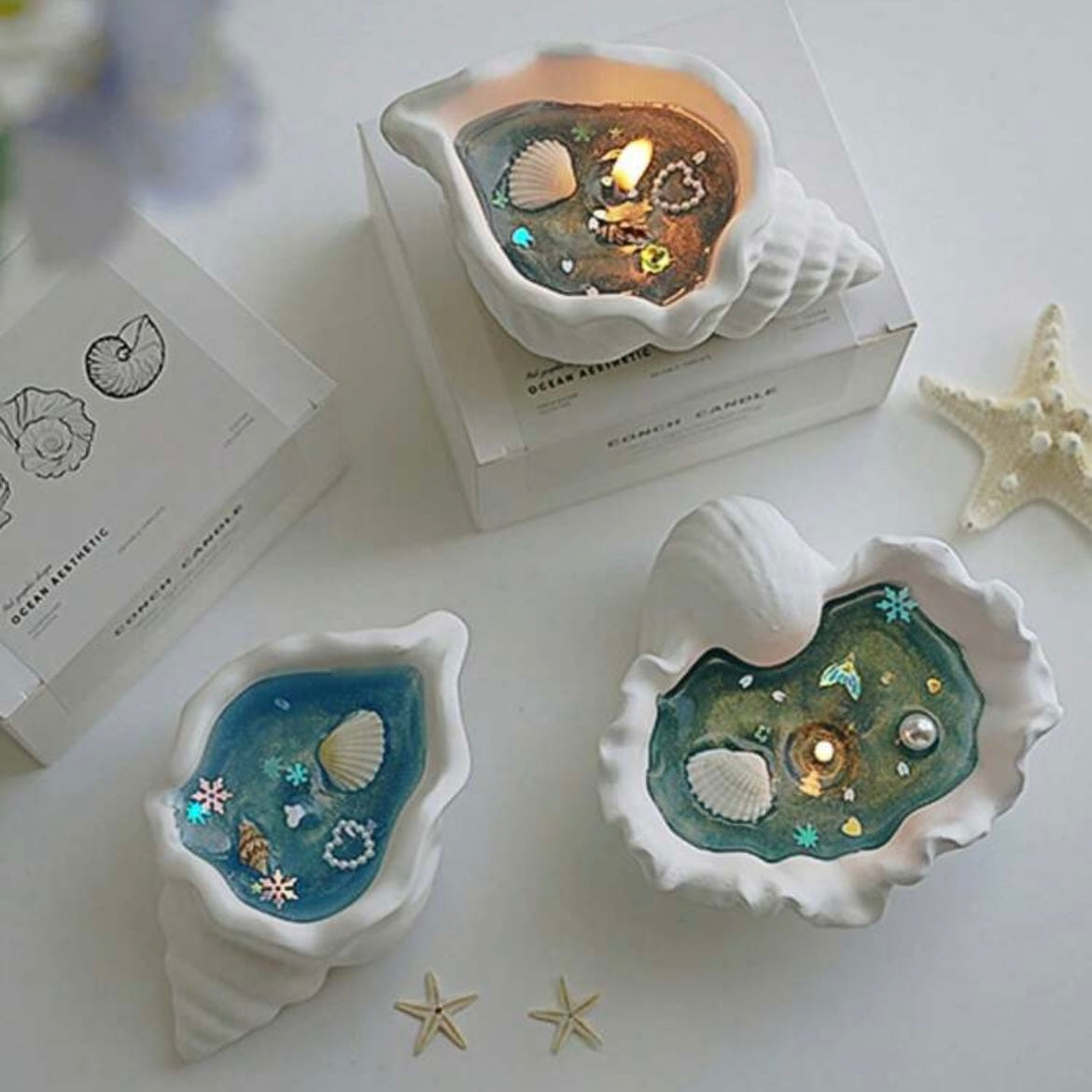 Candles | Conch-shaped Candles